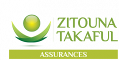 logo_ZT_